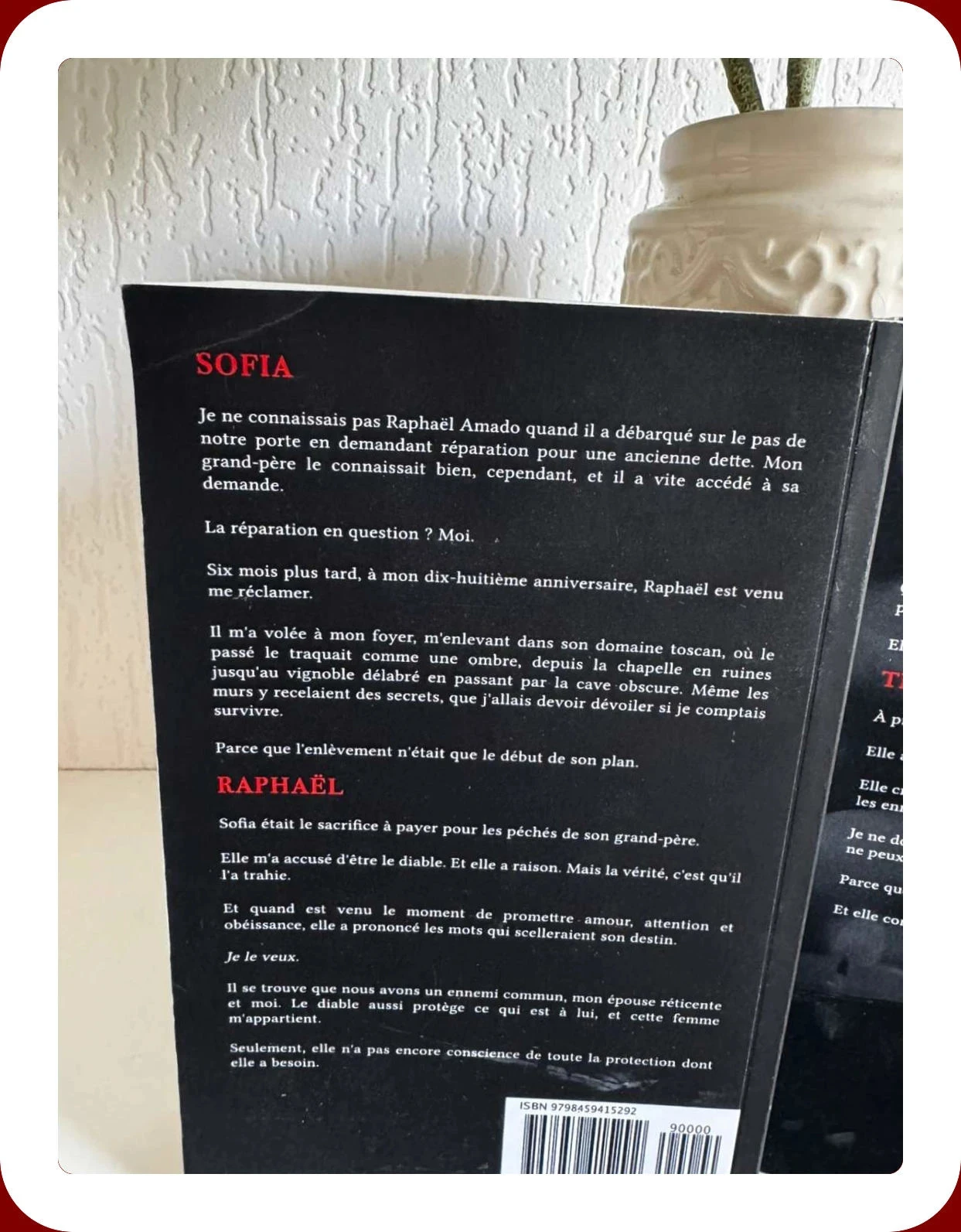 📖 Les Frères Amado – Tomes 1 & 2 van Natasha Knight 🏳🏳 – photo 4